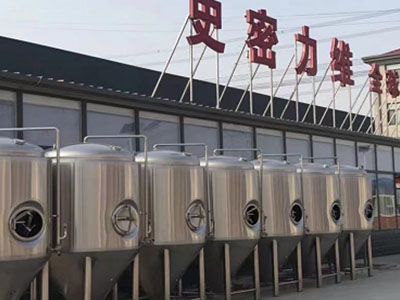 怀集精酿啤酒设备厂—如何判断精酿啤酒设备的密封件需要更换?
